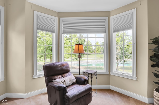 sitting room with carpet and a wealth of natural light