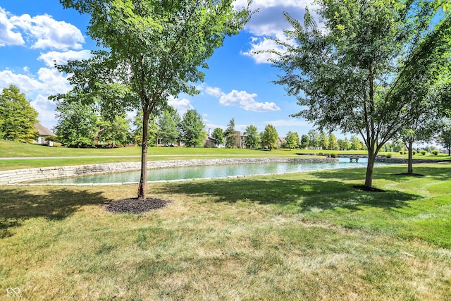 view of yard with a water view