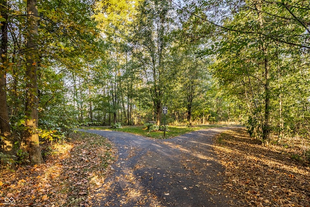 view of road