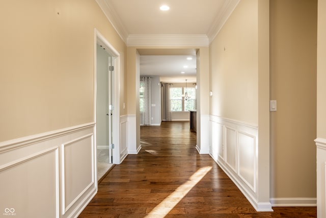 corridor featuring crown molding, dark hardwood / wood-style flooring, and a chandelier