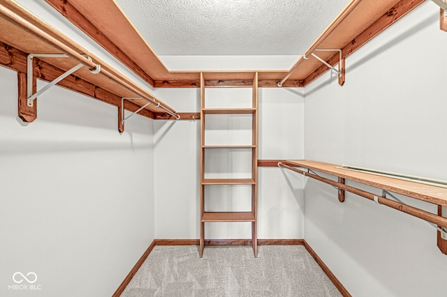 spacious closet featuring carpet flooring