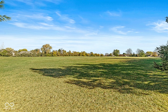 view of yard with a rural view