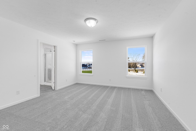 carpeted spare room with a healthy amount of sunlight and a textured ceiling