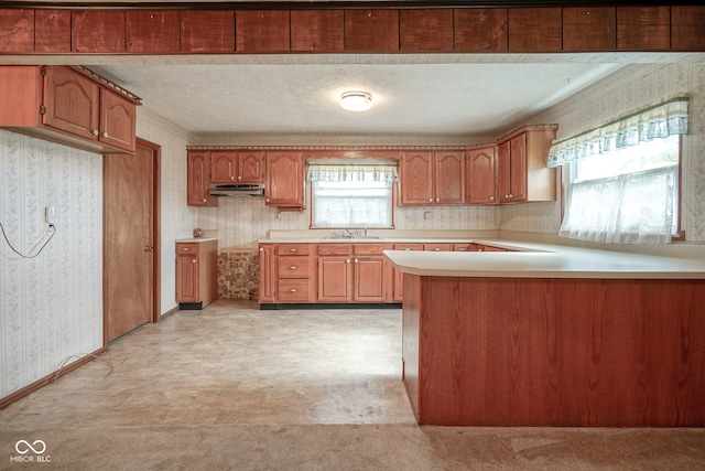 kitchen with sink, light carpet, kitchen peninsula, and a textured ceiling