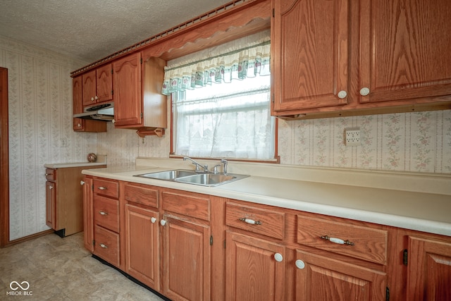 kitchen with a textured ceiling and sink