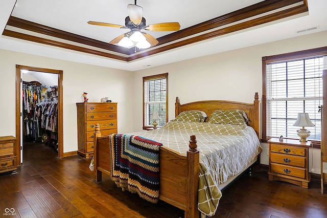 bedroom featuring a closet, a spacious closet, a raised ceiling, and ceiling fan