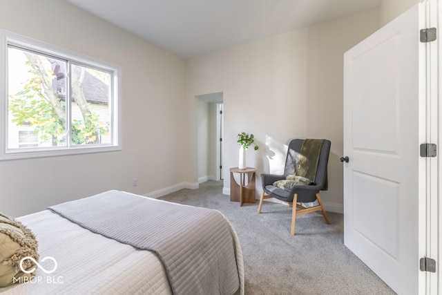 bedroom with light carpet