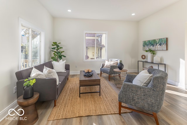 living room featuring a wealth of natural light and hardwood / wood-style flooring