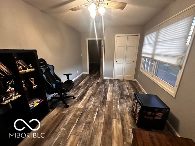 office space with ceiling fan and dark hardwood / wood-style flooring