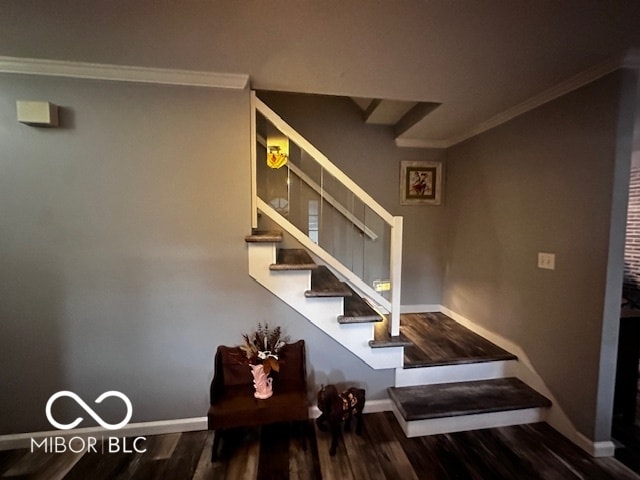 staircase featuring hardwood / wood-style flooring and crown molding