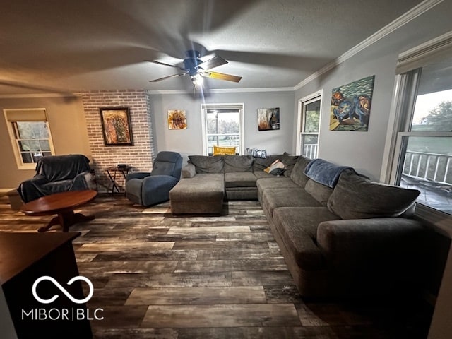 living room featuring crown molding, dark wood-type flooring, ceiling fan, and a textured ceiling