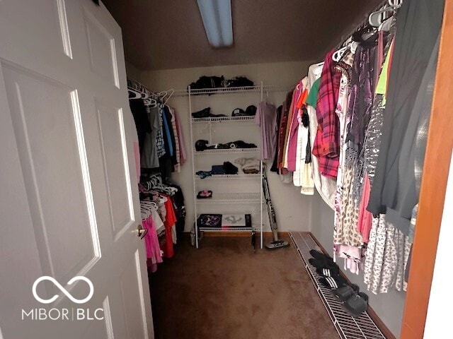 spacious closet featuring carpet flooring