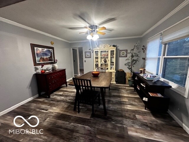 dining room with crown molding, dark hardwood / wood-style floors, and a textured ceiling