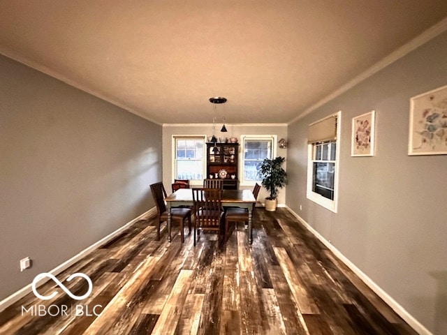 dining room featuring ornamental molding and dark hardwood / wood-style floors