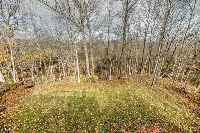808 Copperfield Xing, Danville, IN 46122 - view of yard