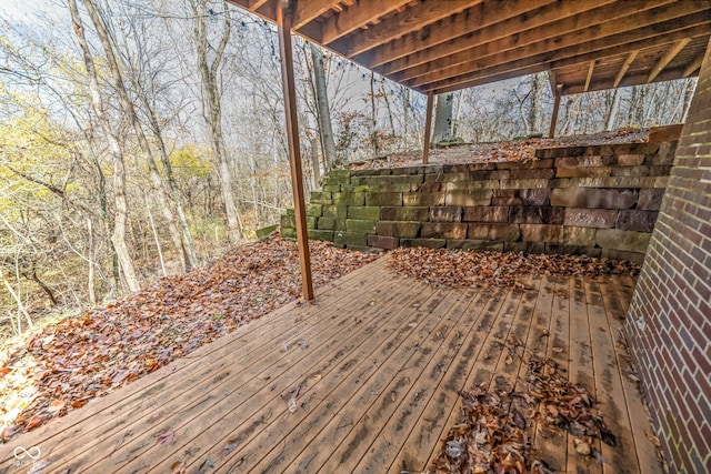 808 Copperfield Xing, Danville, IN 46122 - view of wooden terrace