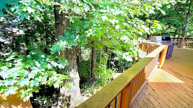808 Copperfield Xing, Danville, IN 46122 - view of deck
