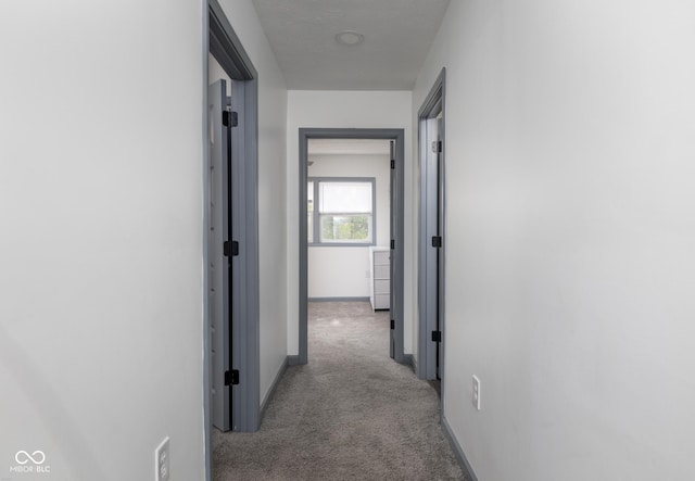 2221 E Michigan St, Indianapolis, IN 46201 - hallway featuring baseboards and light carpet