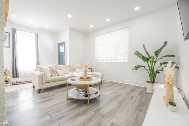 living room featuring a wealth of natural light and light wood-type flooring