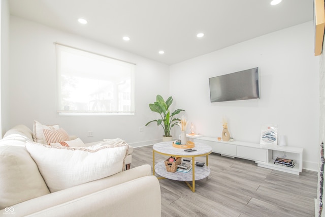 living room featuring light wood-type flooring