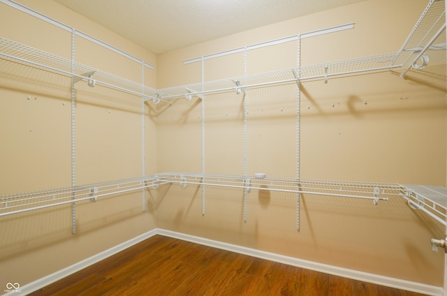 spacious closet featuring wood-type flooring