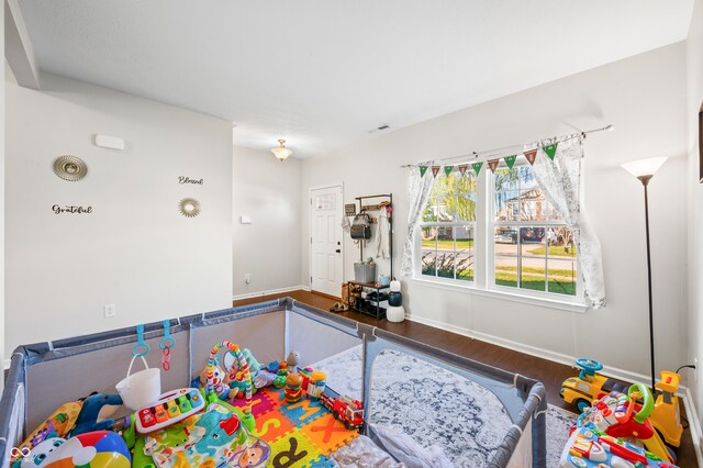 playroom featuring hardwood / wood-style floors