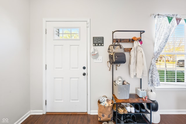 mudroom with dark hardwood / wood-style floors and a healthy amount of sunlight