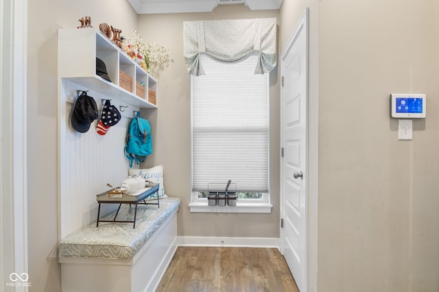 mudroom with hardwood / wood-style floors