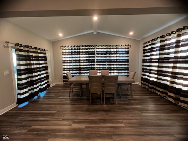 wine room featuring vaulted ceiling and dark hardwood / wood-style flooring