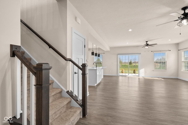 entrance foyer with ceiling fan, dark hardwood / wood-style flooring, and sink