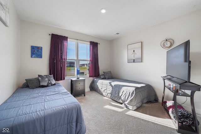 bedroom with carpet floors