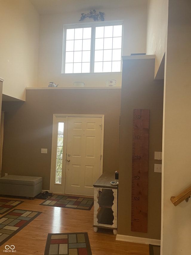 entryway featuring hardwood / wood-style flooring, a healthy amount of sunlight, and a high ceiling