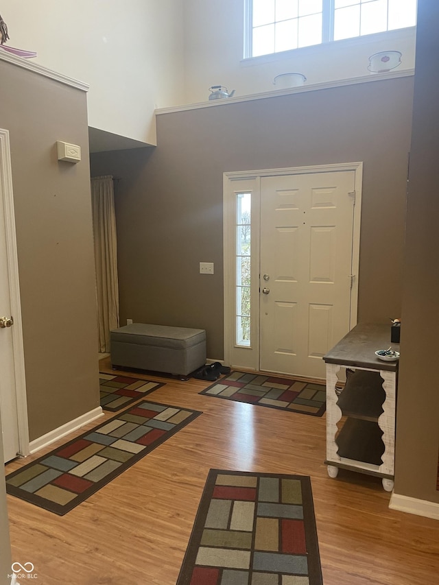 foyer entrance with hardwood / wood-style flooring, a healthy amount of sunlight, and a high ceiling