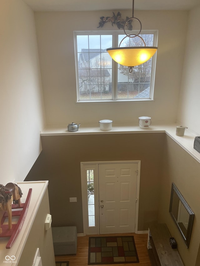 foyer with wood-type flooring and a wealth of natural light