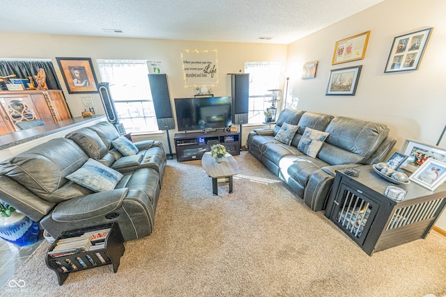 living room with a textured ceiling and carpet floors