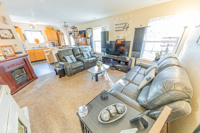 living room featuring ceiling fan, carpet floors, and plenty of natural light