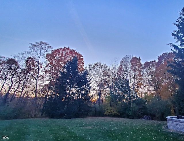 view of yard at dusk