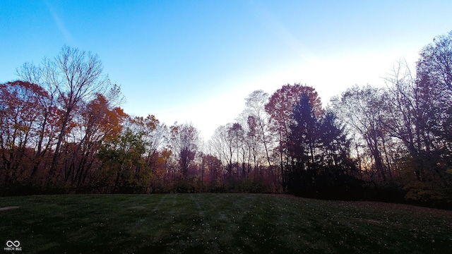 view of yard at dusk