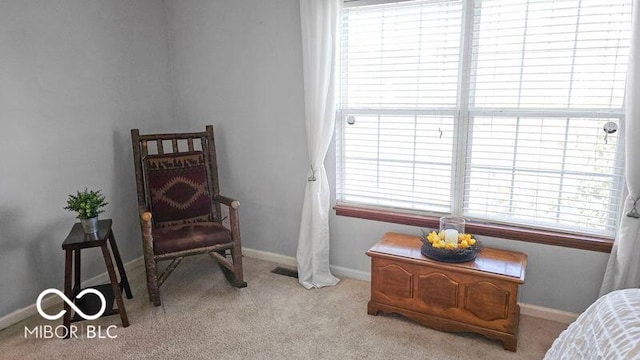 living area featuring light colored carpet