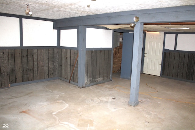 basement with wooden walls