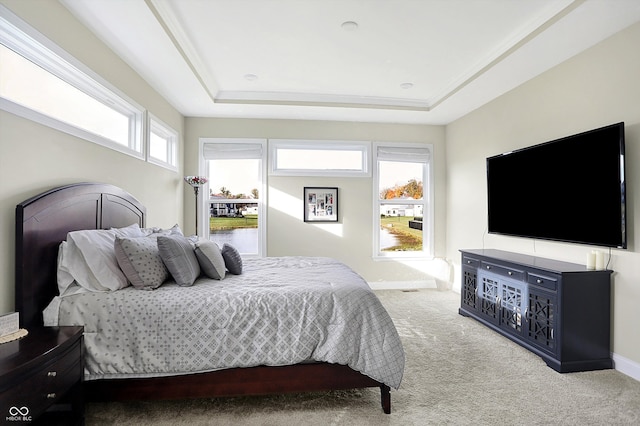 bedroom featuring multiple windows, carpet flooring, and a raised ceiling