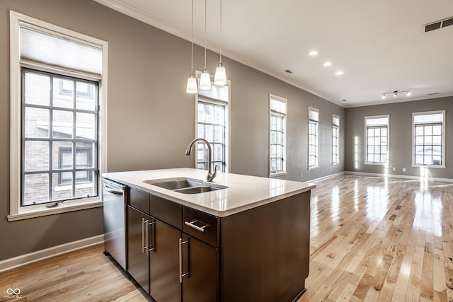 kitchen with dark brown cabinetry, light hardwood / wood-style flooring, a healthy amount of sunlight, and sink