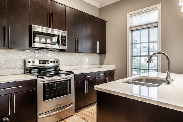 kitchen featuring light hardwood / wood-style flooring, ornamental molding, sink, dark brown cabinetry, and appliances with stainless steel finishes