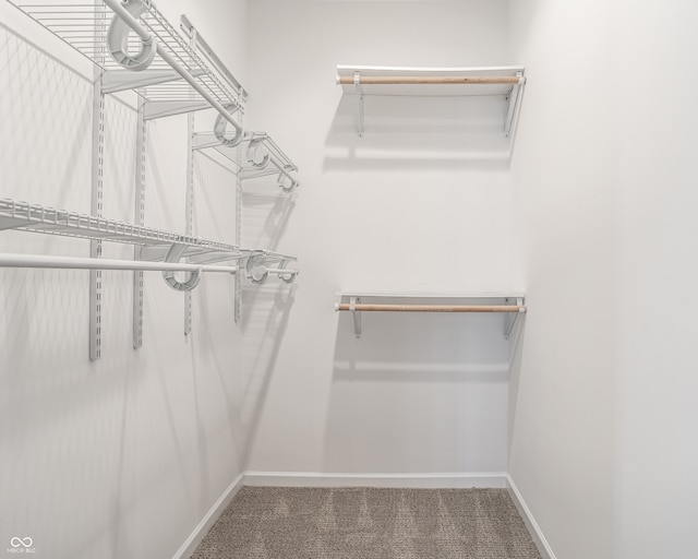 walk in closet with carpet