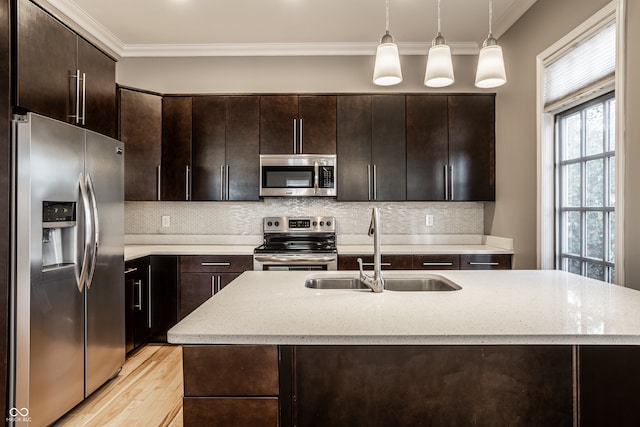 kitchen featuring appliances with stainless steel finishes, light hardwood / wood-style flooring, pendant lighting, dark brown cabinetry, and sink