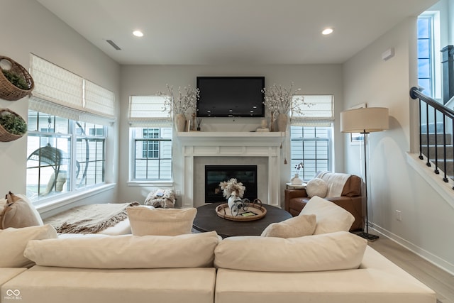 living room with wood-type flooring and a wealth of natural light