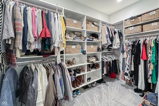 spacious closet with carpet flooring