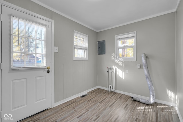 foyer with electric panel, ornamental molding, a wealth of natural light, and light wood-type flooring