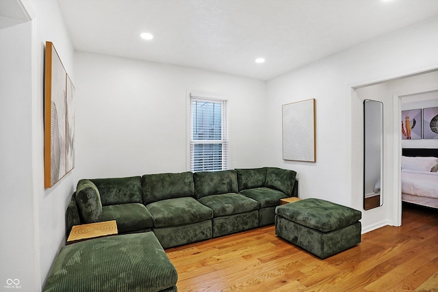 living room featuring wood-type flooring