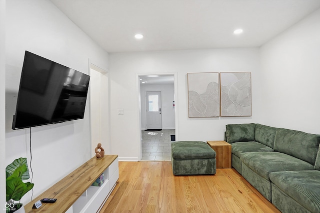 living room with light wood-type flooring